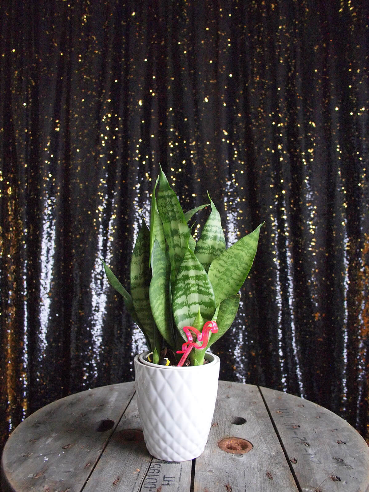 Starry Night Photobooth Backdrop