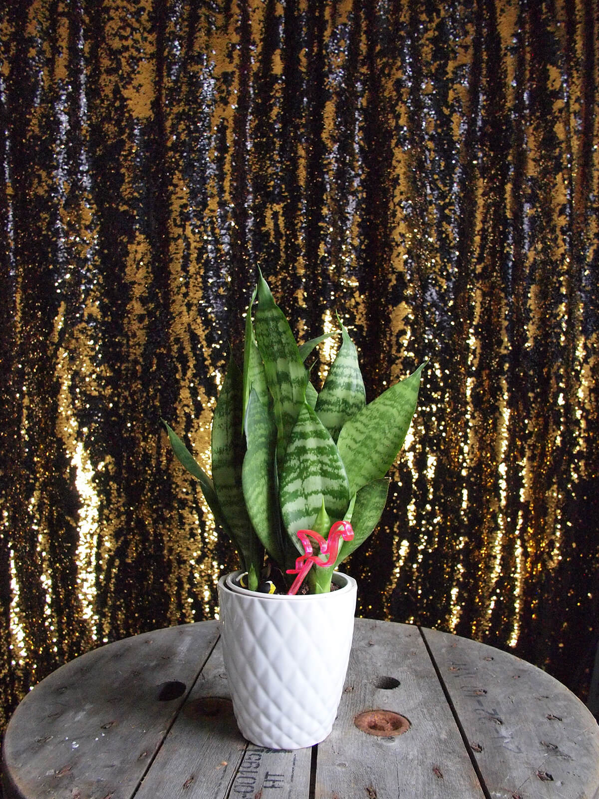 Vegas mermaid sequin Backdrop