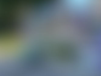 Affordable Birthday Party Decoration Ideas in San Tan Valley, AZ