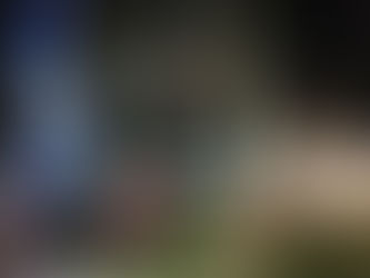 Professional Lot Clearing Services in Evansville, IN for Builders and Investors