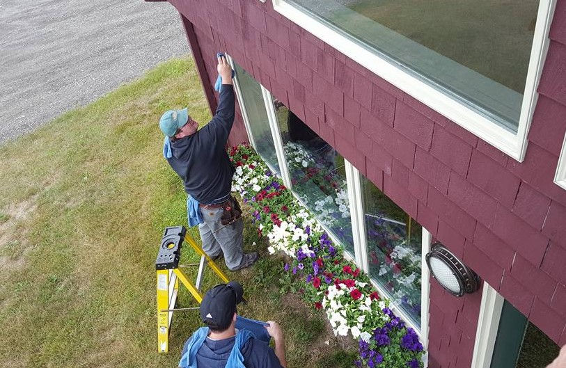 Professional Window Cleaning Solution