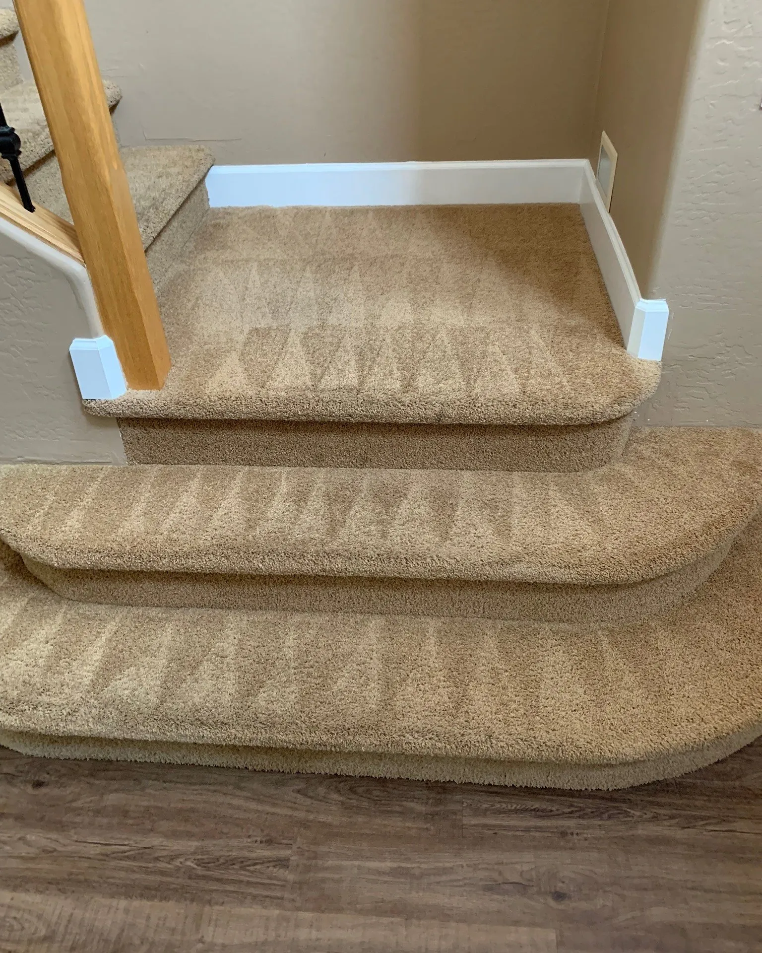 carpet cleaning services in az