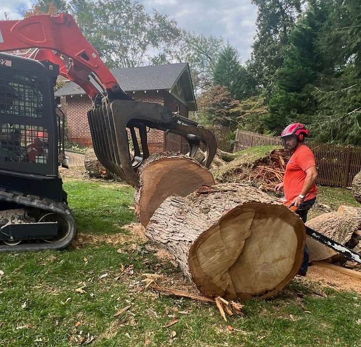 Safe Large Tree Removal in Evansville, IN | Gray's Tree & Crane