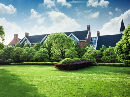 How to Choose Expert Landscaping Services in Odessa, TX