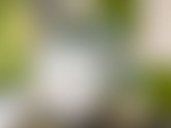 How to Find the Best Custom Event Decor in Gilbert, AZ