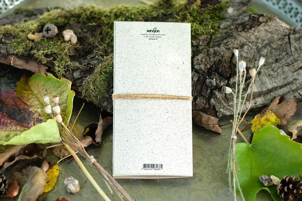 Miniaturbild: Geschenk-Karte "Drei Könige"