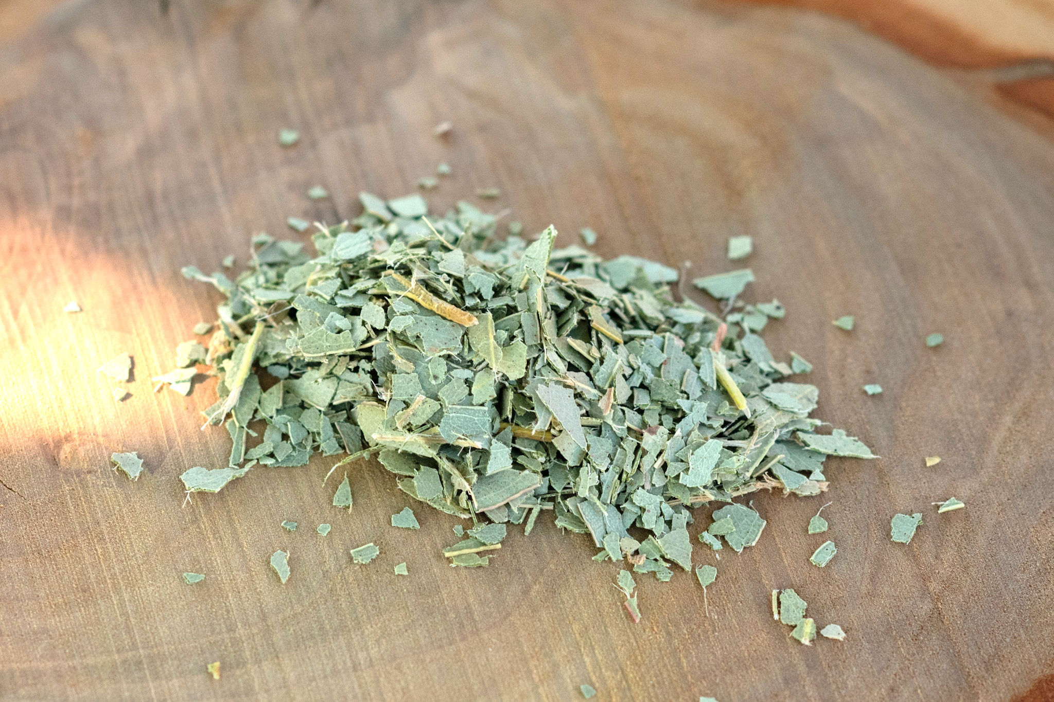 Eukalyptusblätter Bio