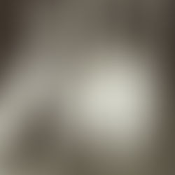 The scandalous lives of Weimar’s famous artist children