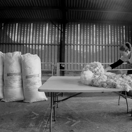 Preparing raw fleece for processing at the mill