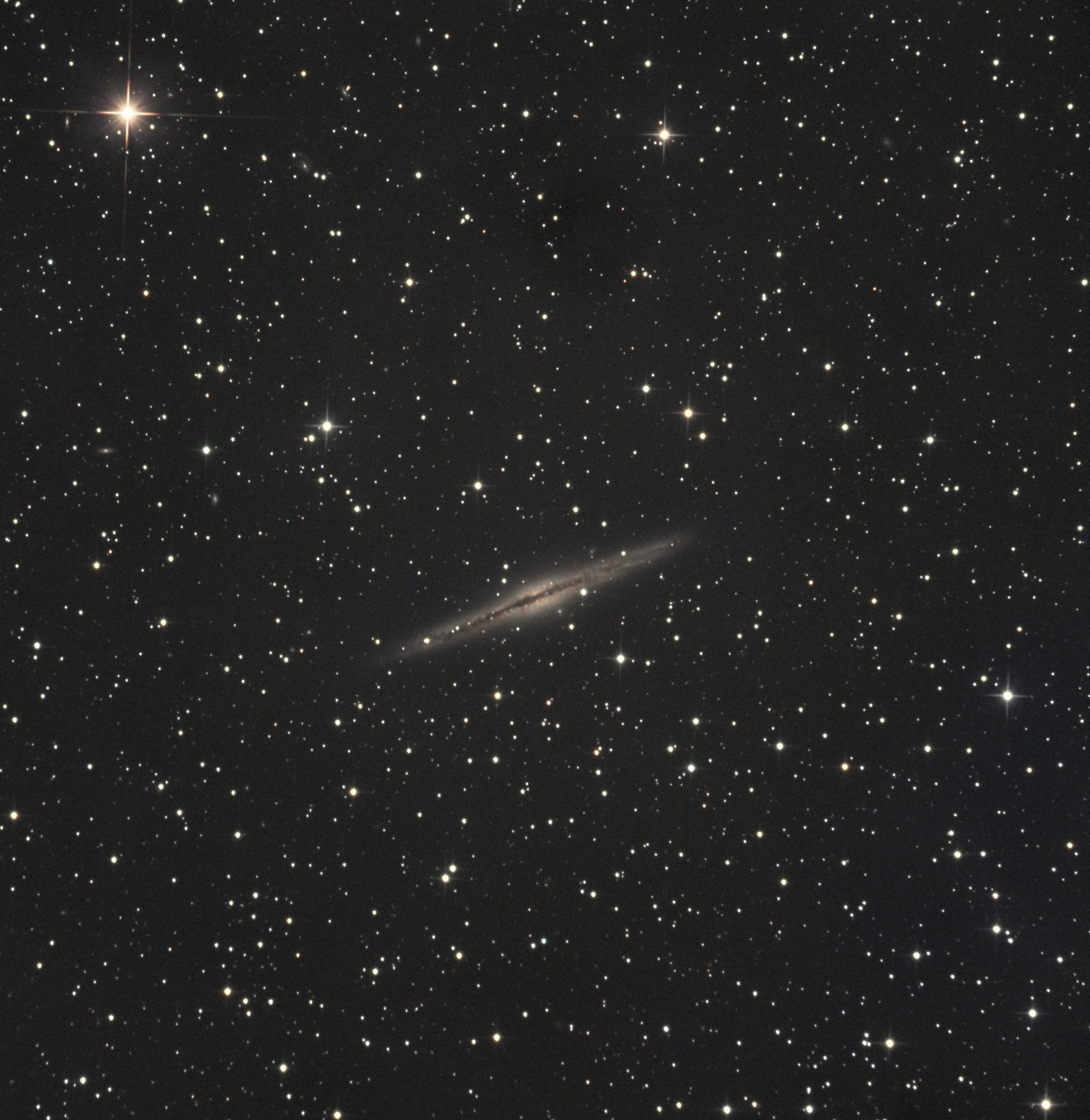 NGC891