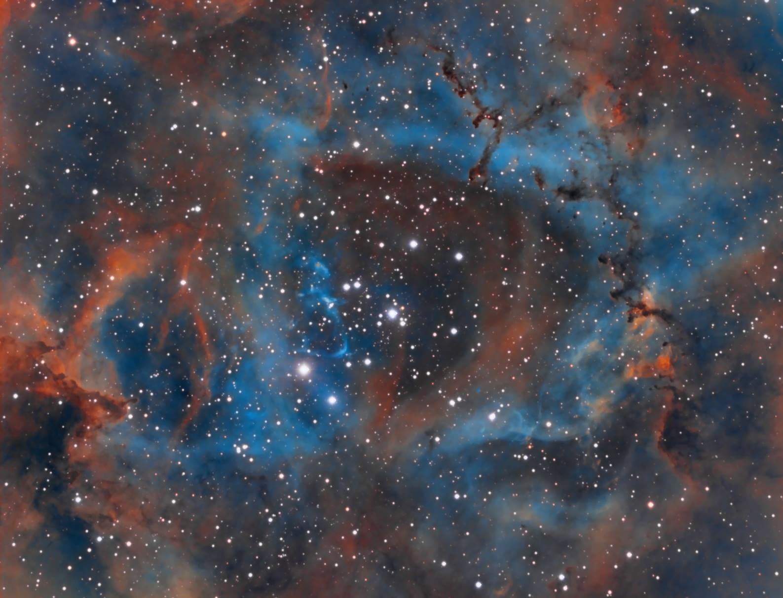 Rosette Nebula by Michele Marini
