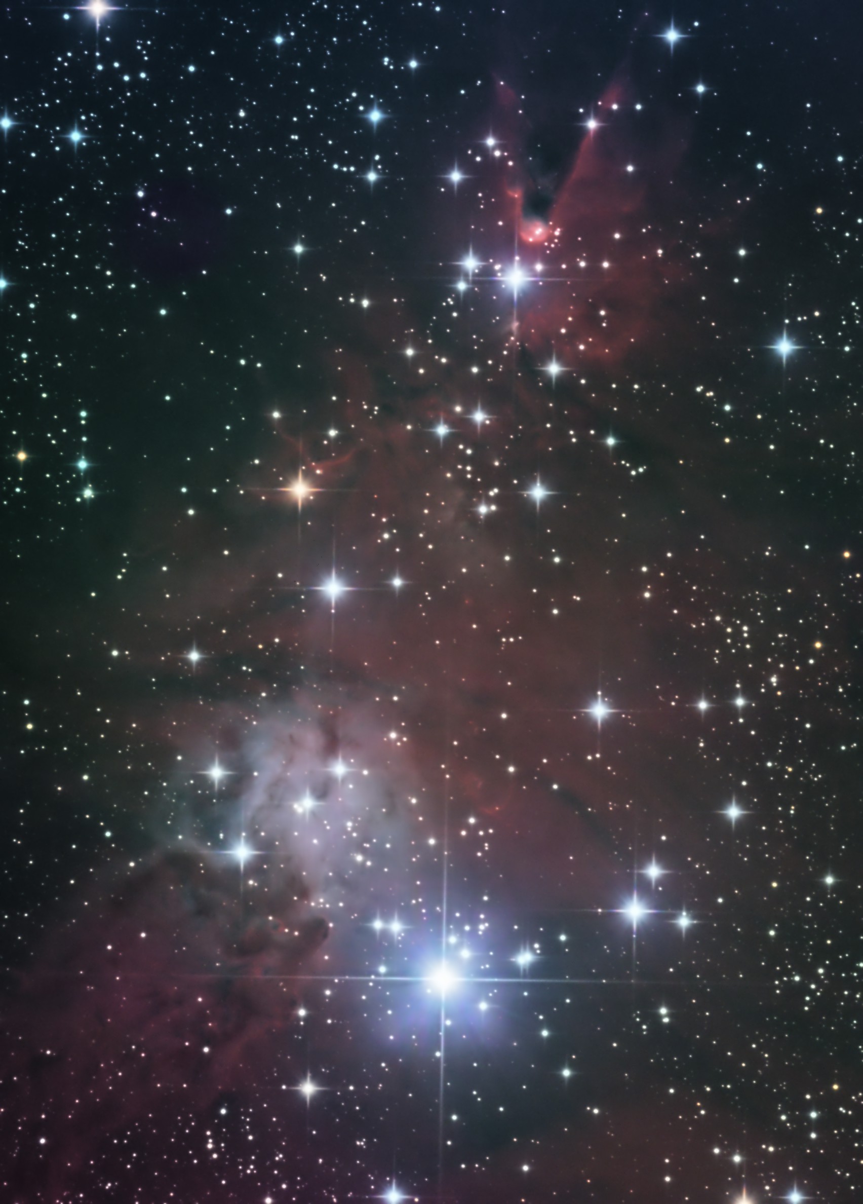 NGC2264