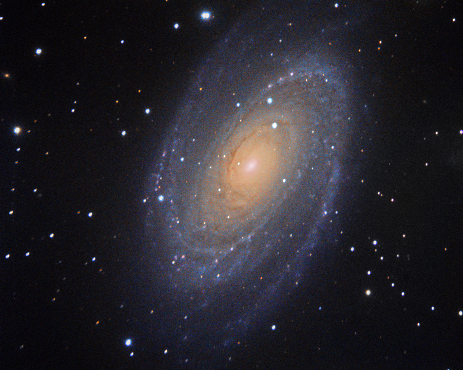 M81