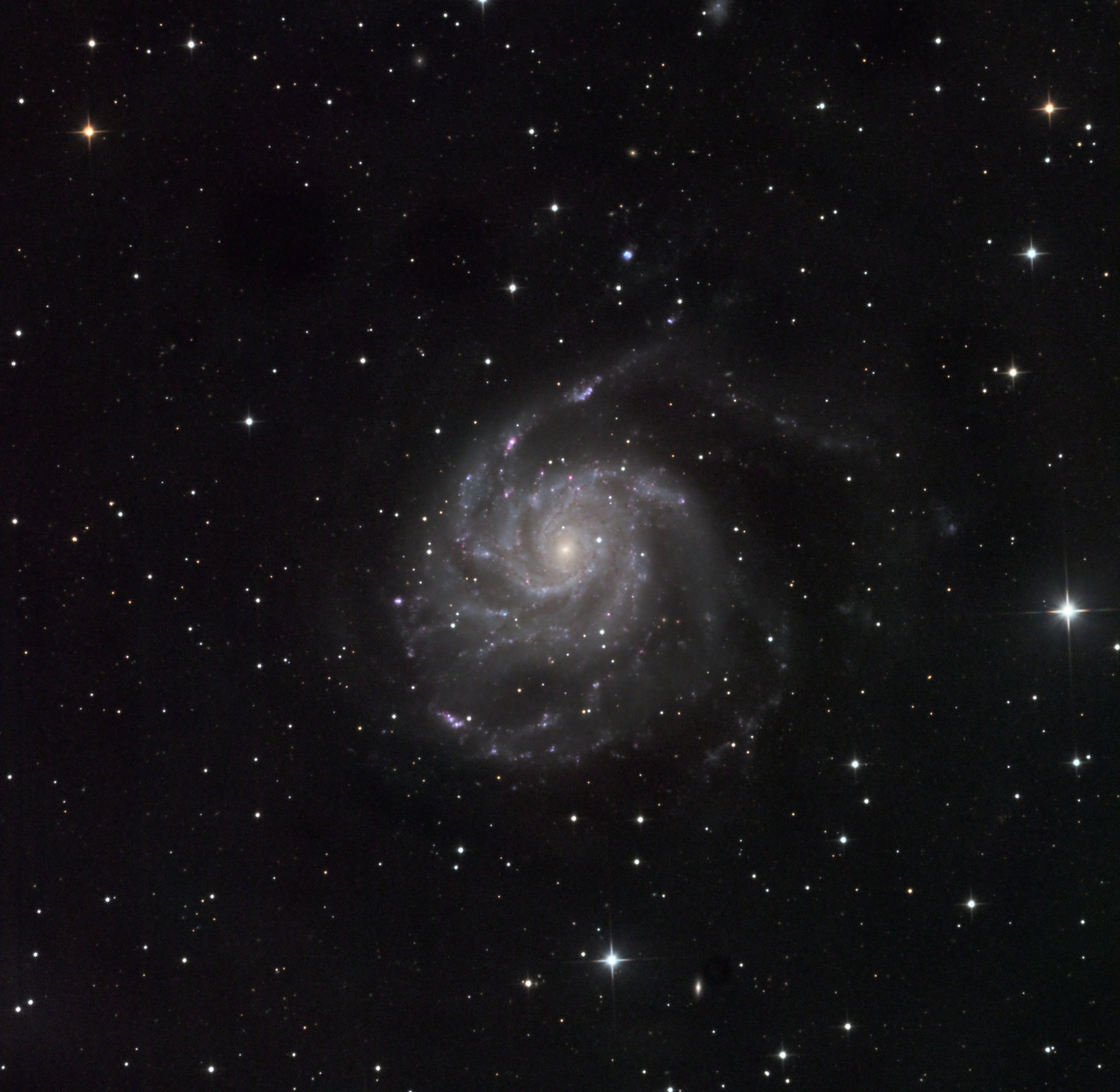 M101