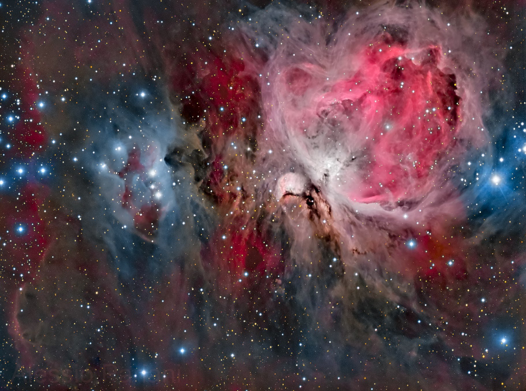 Great Orion Neb. by Alessio Pariani
