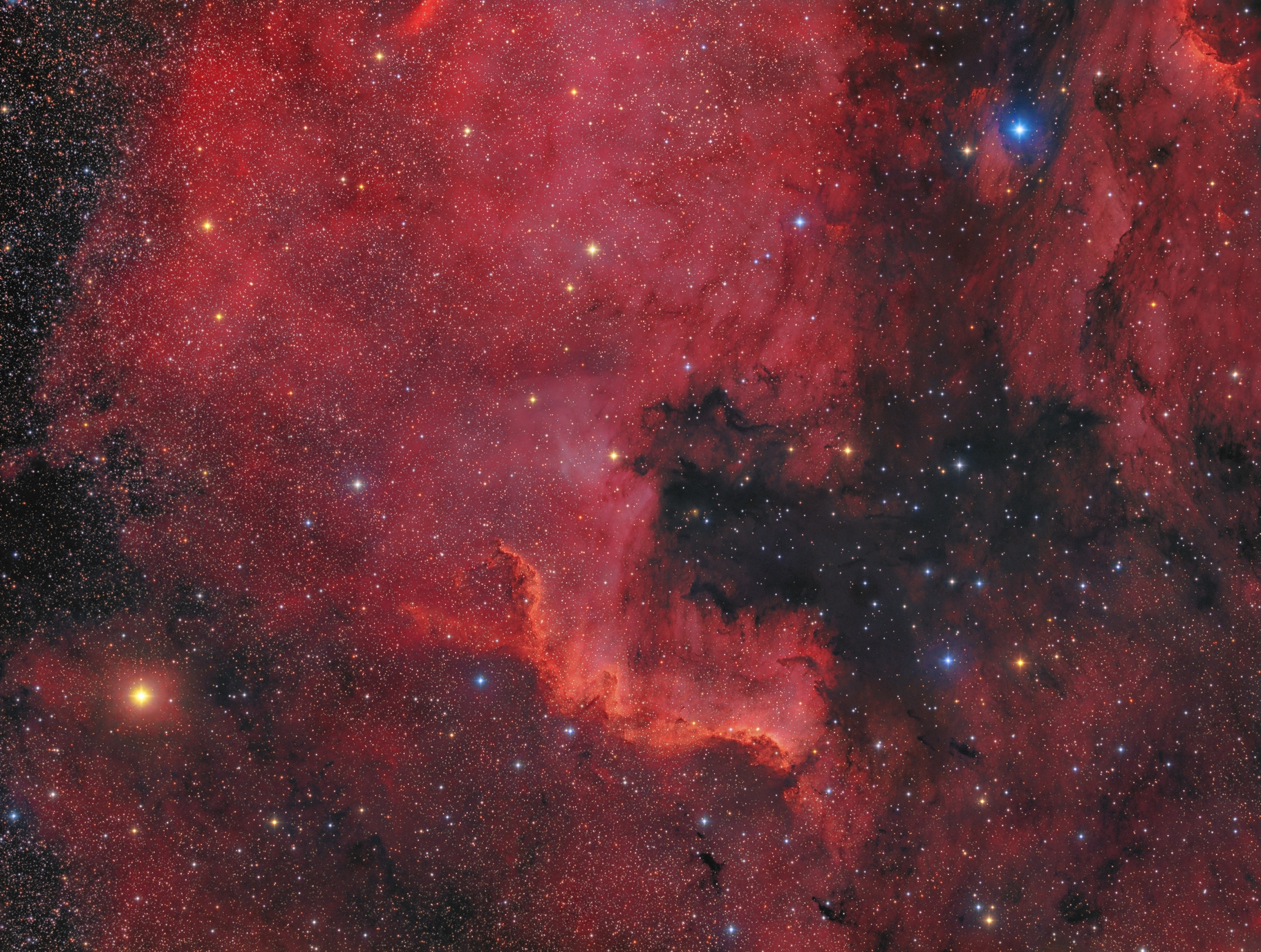 N. America Nebula by Tommy Nawratil