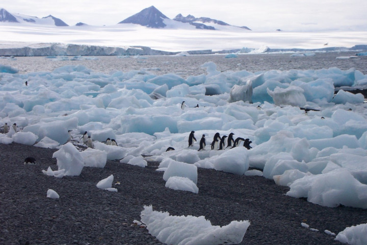 Deniers of climate change: the blame is on the media