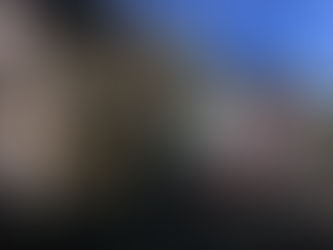 Road Trip Southern Yummy Eats I-95