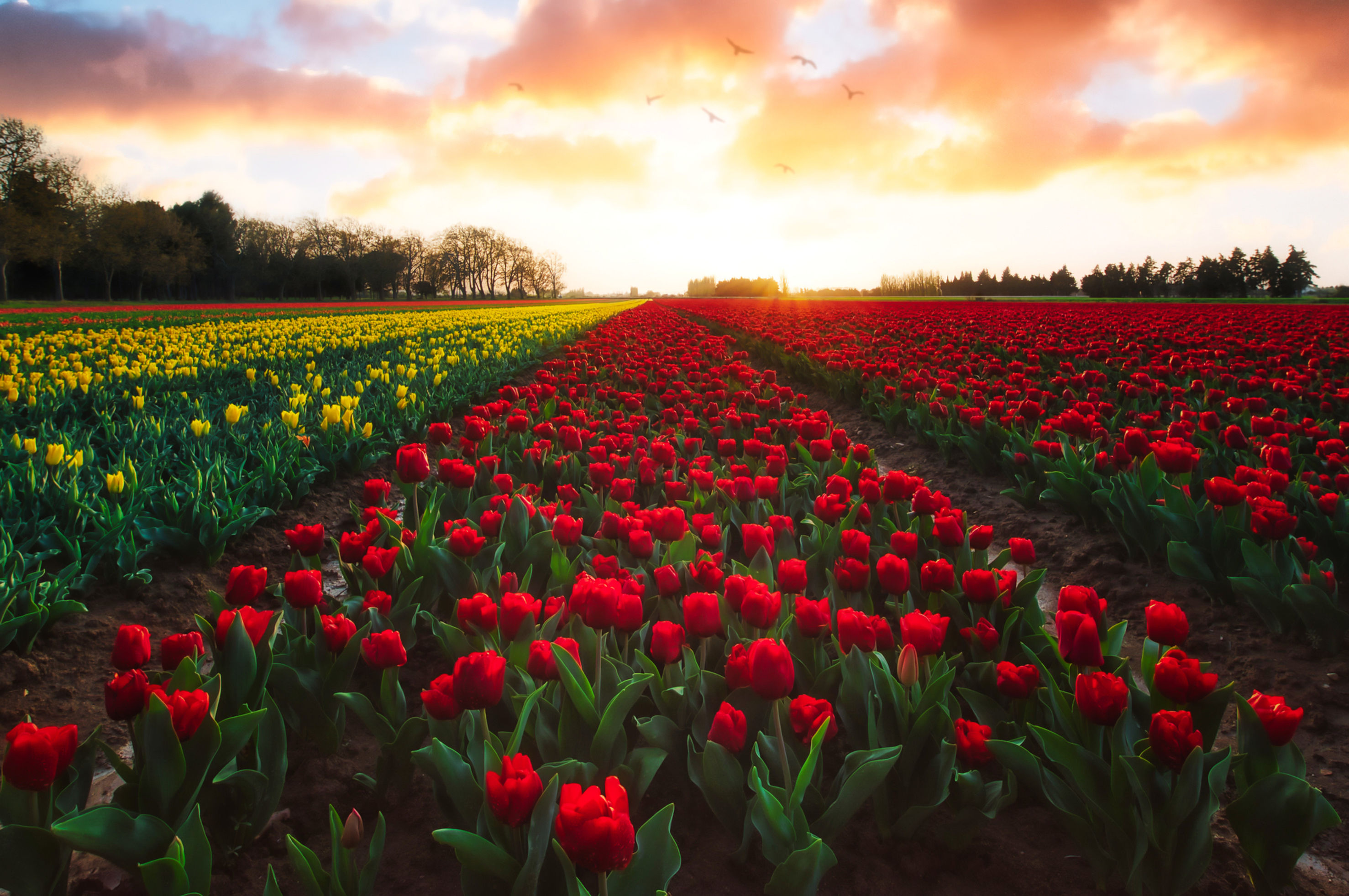 La vie...en couleurs