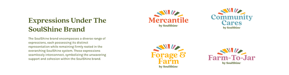soulshine-after-school-program-atlanta-eric-goldstein-design-agency-egd-logo-system-branding