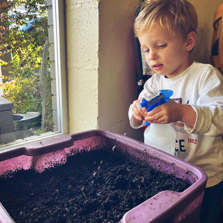 SoulShine Permaculture Vermicomposting Wilds In Wonder Curriculum Student Misting Worm Bed For Moisture