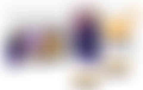 nickl-pay-nicklpay-branding-eric-goldstein-design-agency-egd-marketing-support-website-responsive-wix