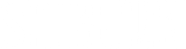 SLTBURN LOGO WHITE