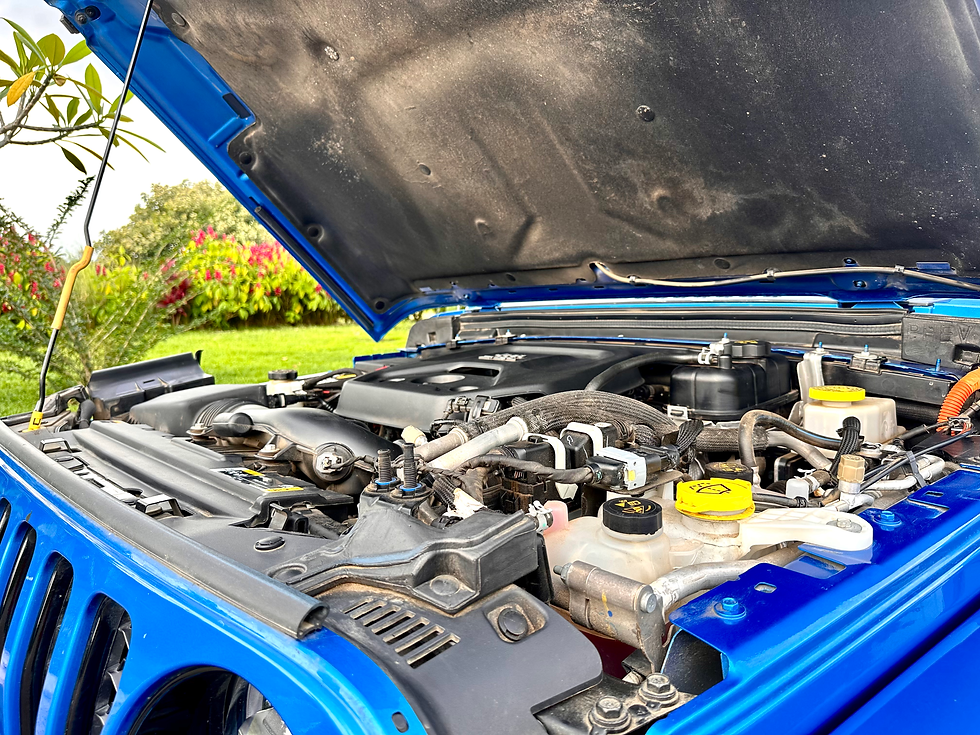 Miniatura: JEEP WRANGLER  2022