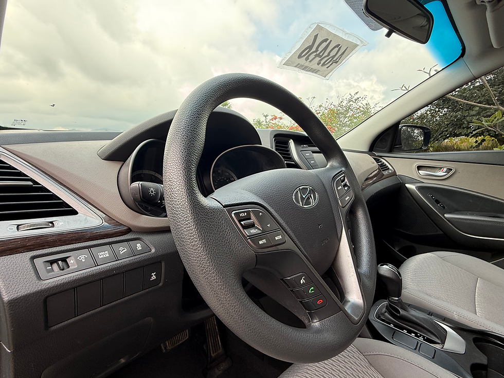 Thumbnail: HYUNDAI SANTA FE 2018