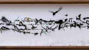 Cally Nurse/ Winter Issue