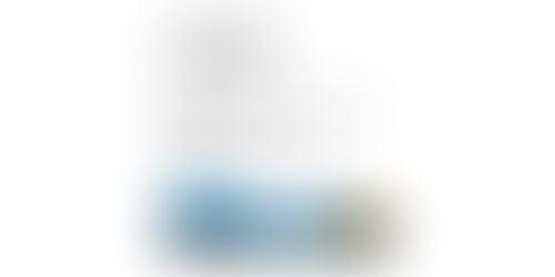 Landscapes (Online exhibition + publication)