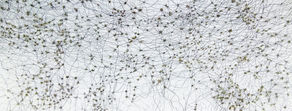 Lezli Rubin-Kunda/ Drawings & Sketches