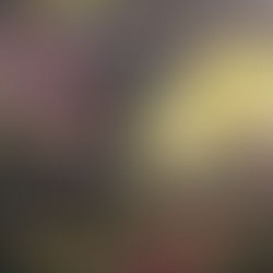 Tara Harris/ Other Worlds