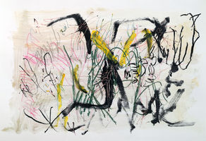 Joan Pañell Fernández de Liencres/ Book Edition