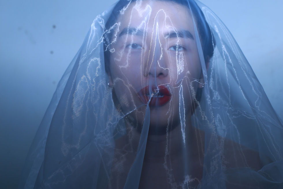 Ruiqi Zhang/ Silenced