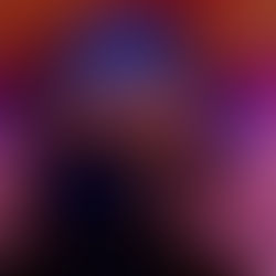 Cat Hamilton/ Book Edition