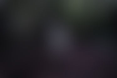 Lisha Liang/ Queer Art