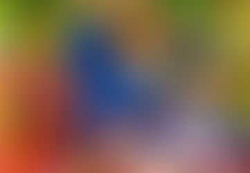 Frances-Ann Norton/ Figurative Art