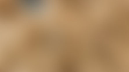 Hüseyin Gün/ Spring Issue