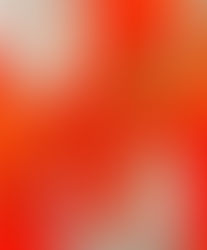 Laura Candet/ Abstract Art