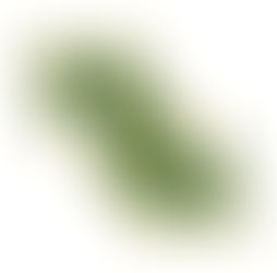 Emma Lankford MRGS'21