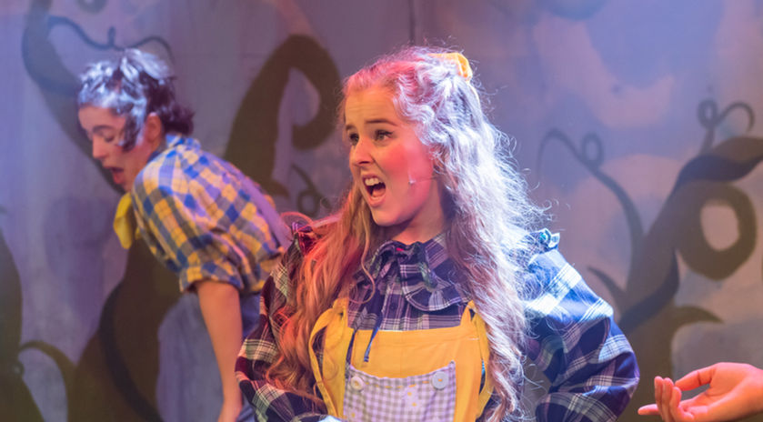 Jack and the Beanstalk-19.jpg