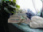 20190204_125553~2