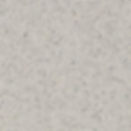 Occhialino Olive Grey