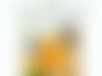 Kombucha and Cortisol: How Gut Health Supports Weight Loss