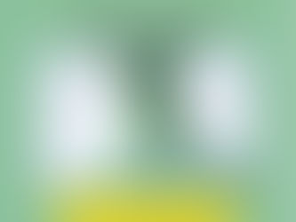 Understanding the Lymphatic System and How to Support It