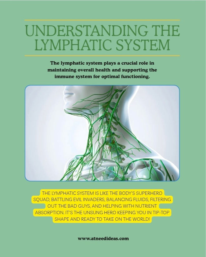 The Lymphatic system