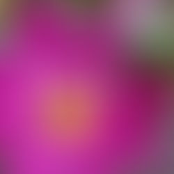 Smile its good for the soul!