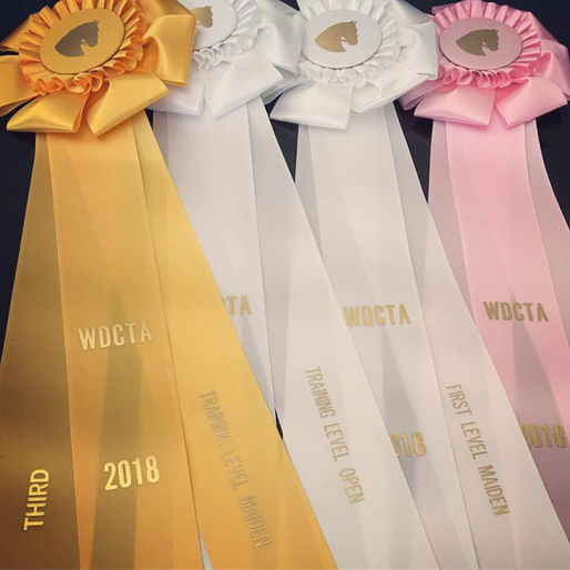 WDCTA 2018 Awards Banquet