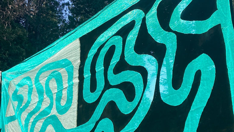 IMG_4319 2_edited.jpg